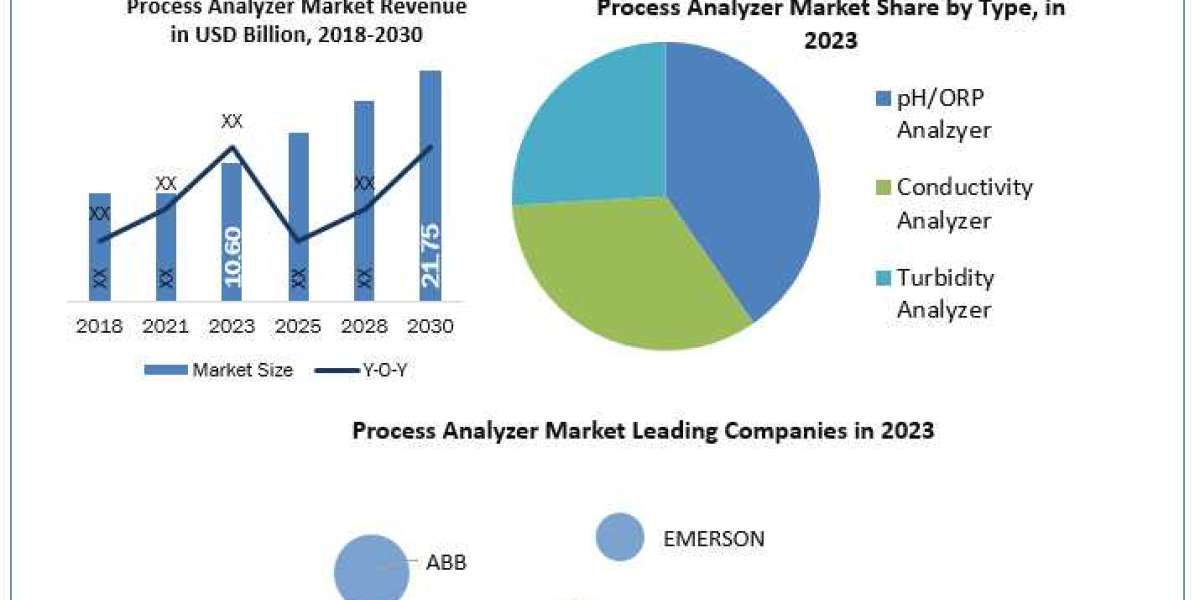 Process Analyzer Market  Analysis of Key Trend, Industry Dynamics and Future Growth 2024-2030